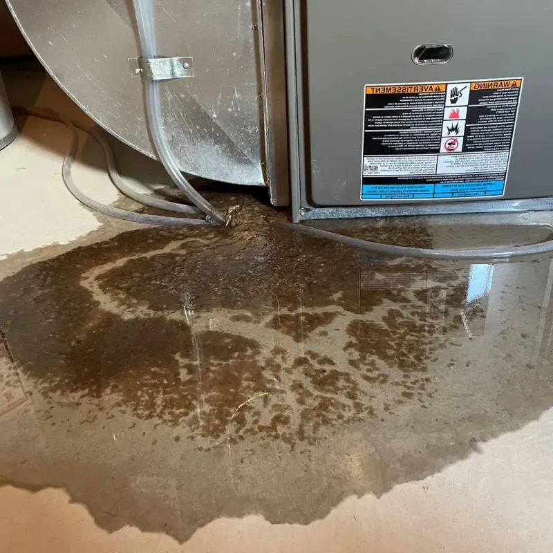 Pipe Burst and Leak Restoration in Weehawken, NJ
